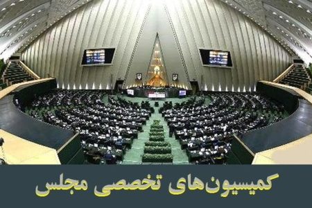 حضور ۳ عضو کابینه در بهارستان/ ابعاد ترور اسماعیل هنیه در کمیسیون امنیت ملی مجلس بررسی می شود