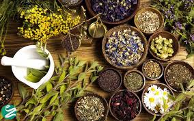 اثر گیاهان دارویی در پاسکازی بدن/ اصل کلیدی درمان با طب سنتی