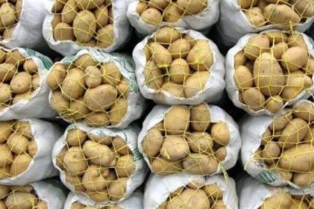سیب‌زمینی باز هم گران شد/ قیمت جدید سیب‌زمینی را ببینید