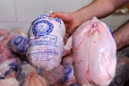 تکذیب قیمت مرغ/ توضیح مدیرعامل سازمان مدیریت میادین میوه و تره‌بار