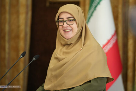 واکنش سخنگوی دولت به اظهارات سید محمود نبویان در خصوص جاسوسی رژیم اسرائیل از بستر اینترنت