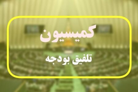 ترکیب ۴۵ نفره کمیسیون تلفیق بودجه ۱۴۰۵ مشخص شد/ اسامی