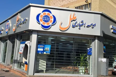 بازداشت مدیرعامل سابق موسسه ملل تایید شد