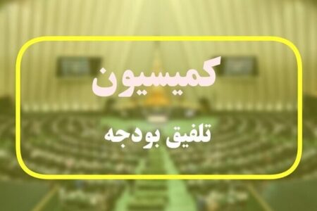 خبر مهم کمیسیون تلفیق درباره حداقل افزایش حقوق ها/ وام ازدواج و فرزندآوری در بررسی جزئیات بودجه دنبال خواهد شد