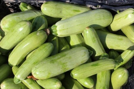 یک خوردنی کم‌کالری برای کاهش نفخ