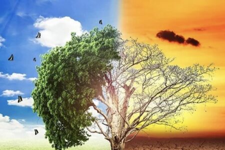 تغییرات اقلیمی و توسعه فناوری‌های سبز/ نقش اثرگذار چین و آمریکا در ۲۰۲۶