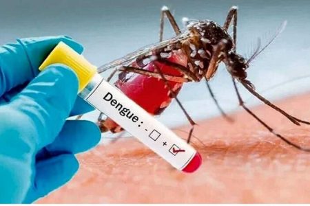 هشدار وزارت بهداشت درباره خطر گسترش تب دنگی/ استقرار پشه «آئدس» در این نقاط کشور